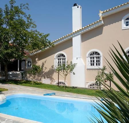Villa Dendron Agia Marina  Ngoại thất bức ảnh